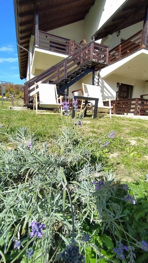 Apartman Draskovic - Goc Exterior foto